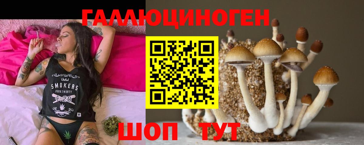 Псилоцибиновые грибы мухоморы Черкесск